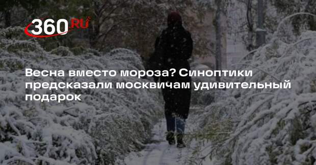 Синоптик Леус спрогнозировал потепление в Москве до +6 градусов к 10 марта