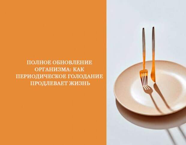 Как периодическое голодание продлевает жизнь