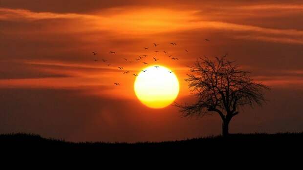 Не сдавайтесь. Астрологический прогноз для всех знаков зодиака на 26 мая