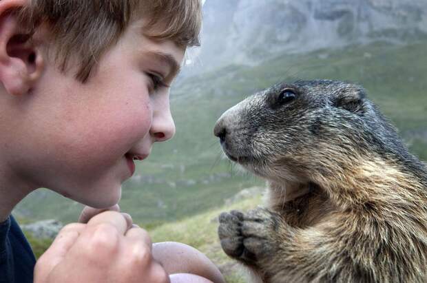 kidsanimals09 10 самых трогательных историй общения детей и животных