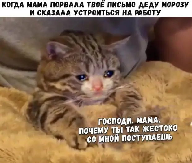 Мать 11 детей заявила, что до полной коллекции ей не хватает только Водолея Мать 11 детей заявила, что до полной коллекции ей не хватает только Водолея Нувейба, сегодня, конечно, билеты, отношений, подходит, только, Звонок, вообще, профессиональных, разведчиков, девушки—, догадываются, последнего, помнишь, когда, встретились, впервые, тогда, растётДевушки