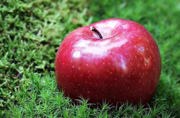 Одно яблоко в день может защитить от инфаркта