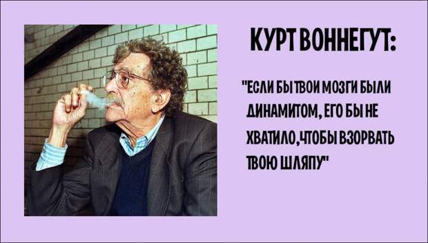 Колкости от знаменитостей Колкости от знаменитостей Колкость, знаменисти