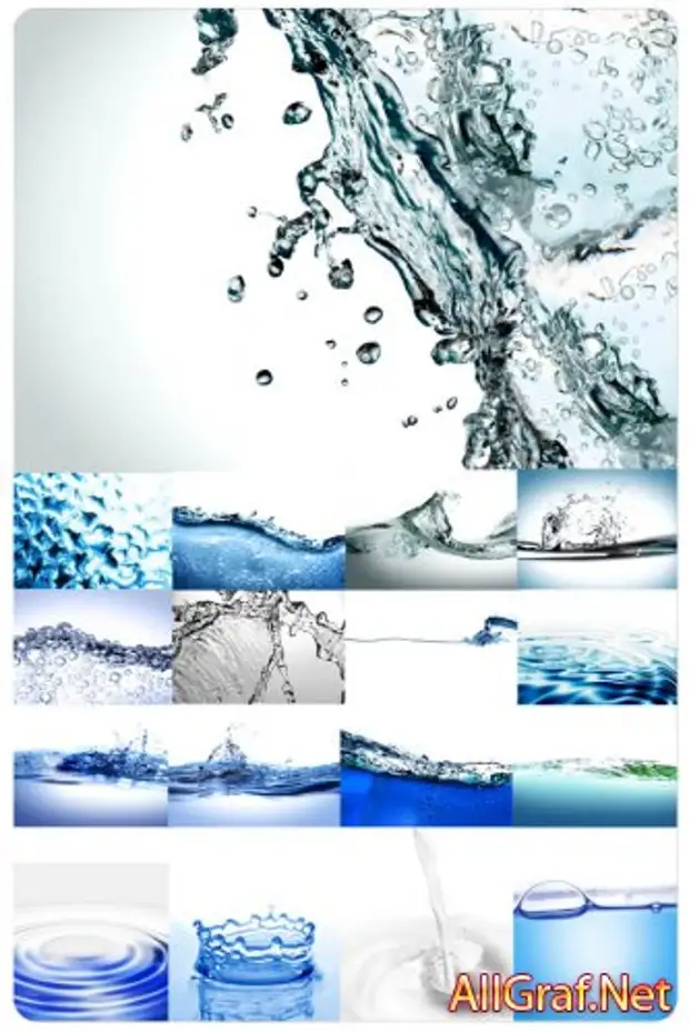 Waters 21. Ветви вода клипарт. Экспертиза воды клипарт на белом фоне. Экспертиза воды клипарт.