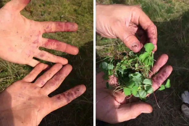 ‌ ‌‌ ‌‌ :‌ ‌‌ ‌‌ ‌‌