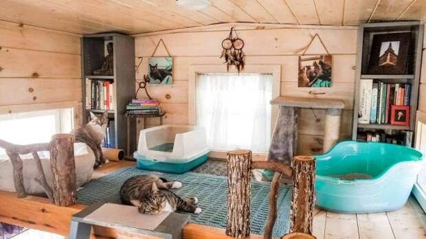 Вот так теперь выглядит «домик для кошек». | Фото: tinyhousetalk.com.