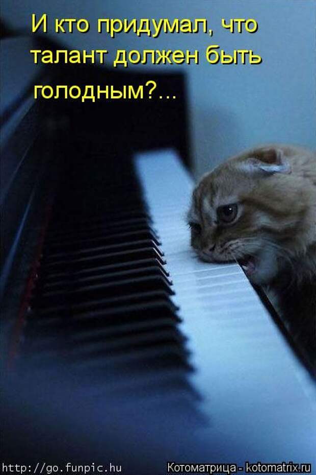Котоматрицы(картинки с надписями)