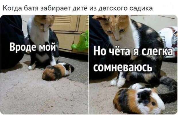 Так себе картинки