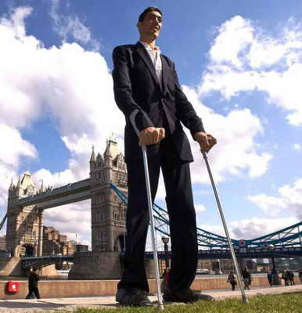 http://skuky.net/wp-content/uploads/2009/09/tallest-man-in-the-world.jpg