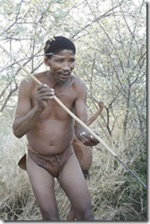 400px-Botswana_051