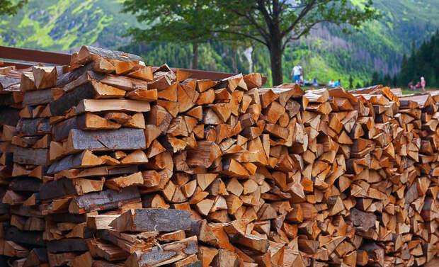 Как выбрать лучшие дрова