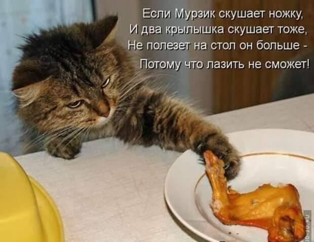 db2995490699c0bb75d0c4162fe_prev