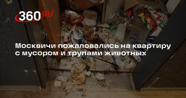 «Подъем»: в Москве жильцы почуяли трупный запах из соседней квартиры