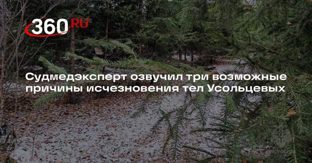 Судмедэксперт Аулов: тела пропавших в тайге Усольцевых могло занести снегом