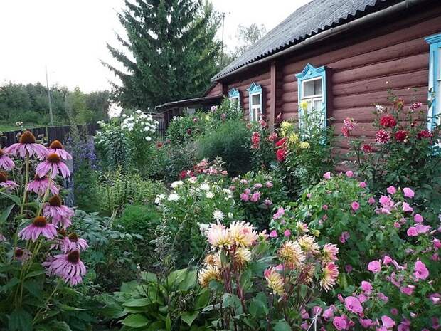 Заросли защищают от солнца. |Фото: culture.ru. Заросли защищают от солнца. |Фото: culture.ru.