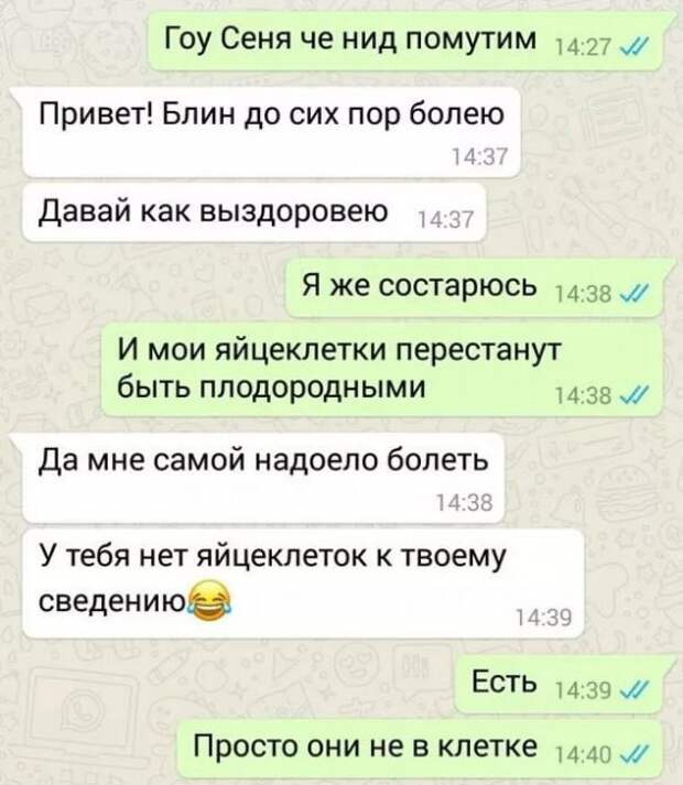 Популярные смс приколы распространяются как вирус смеха в сети интернет