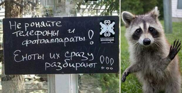 Объявление