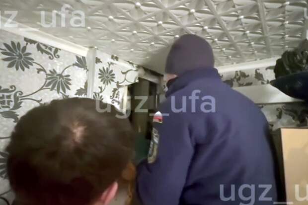 Уфимские спасатели достали застрявшего в стене котенка