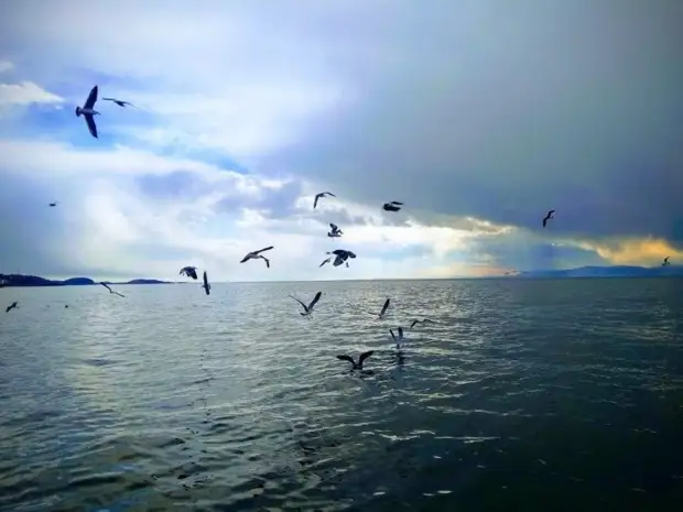 До 15 градусов тепла. Синоптики рассказали о погоде в Приморье на воскресенье