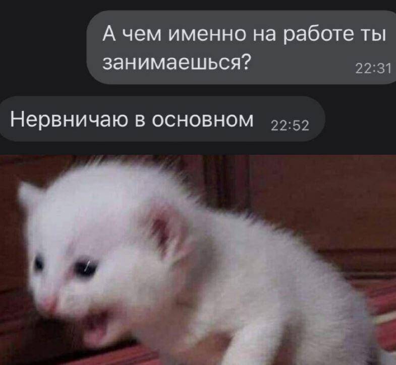 смешные картинки с надписями (4)