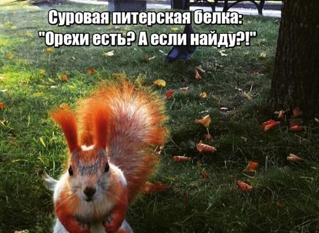 Подборка картинок (20 фото)