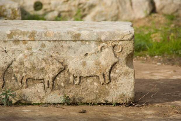 Animal_Relief_in_Tarxien_Malta