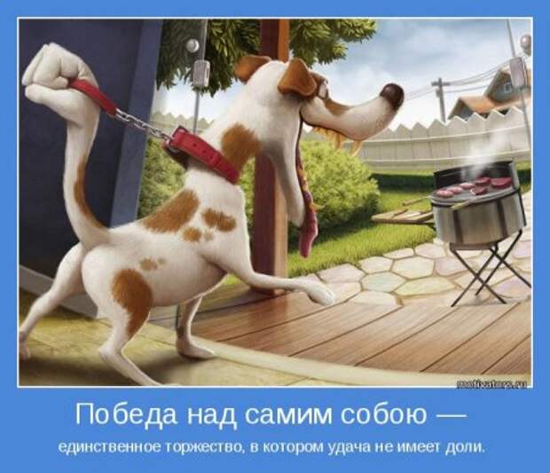 Мотиваторы, умные фразы и высказывания.