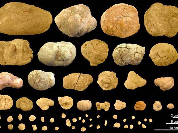Новости археологии: в Аргентине откопали самый древний доисторический туалет