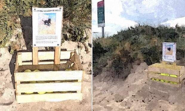 Владелица погибшей собаки соорудила необычный памятник на пляже и оставила душераздирающую записку..