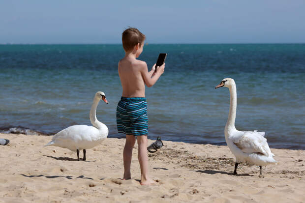 BBC: в Австрии решили запретить соцсети для детей младше 14 лет