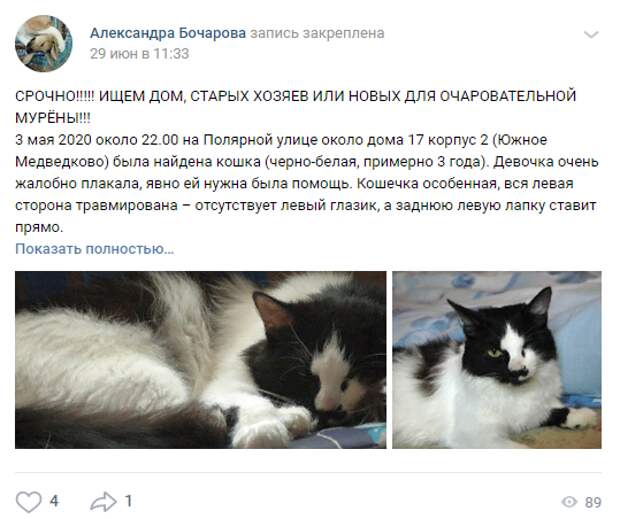 Жительница Южного Медведкова спасла кошку на Полярной