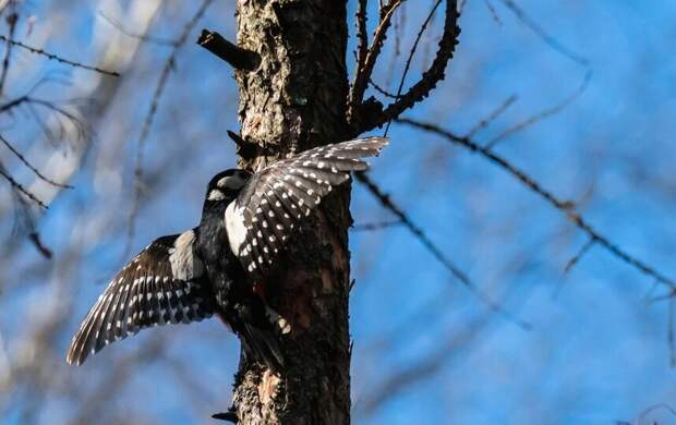 40 дней аномального тепла: Петербург побил рекорд 2007 года