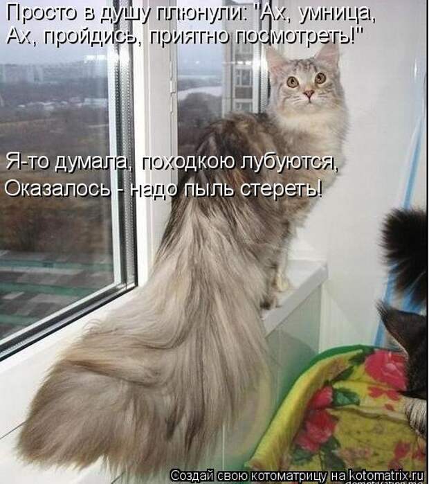 Просто в душу плюнули: "Ах, умница, Ах, пройдись, приятно посмотреть!" Я-то думала, походкою лубуются, Оказалось - надо пыль стереть!