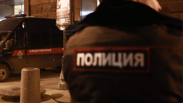 Фонтанка: найдено расчлененное тело пропавшего накануне в Петербурге подростка