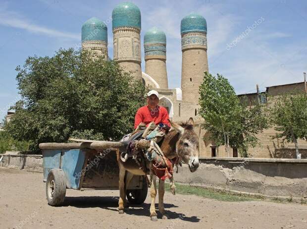 Узбек об узбеках: Вы думаете, к вам едут работать строители?