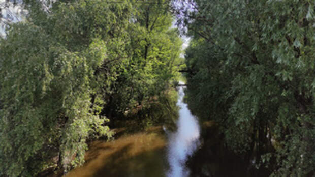 Река Барнаулка / Фото: amic.ru