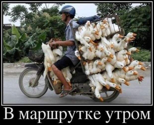 Октябрьские шутки.