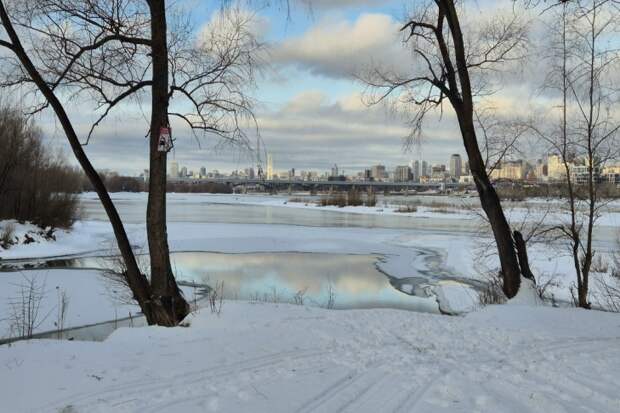 Споры разгорелись вокруг проекта парка «Усть-Тула» на левом берегу Новосибирска