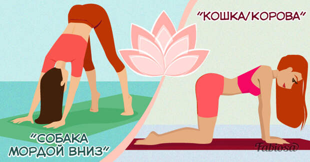 Упражнение кошка корова