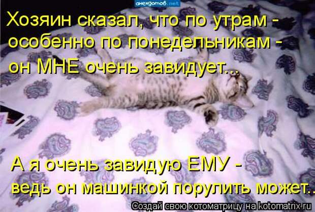 Котоматрица: Хозяин сказал, что по утрам -  особенно по понедельникам -  он МНЕ очень завидует... ведь он машинкой порулить может... А я очень завидую ЕМУ -