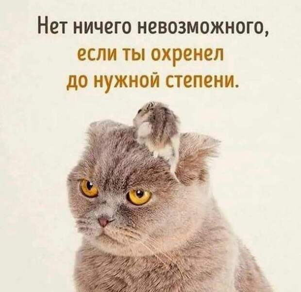 Самые смешные свежие мемы (суббота)