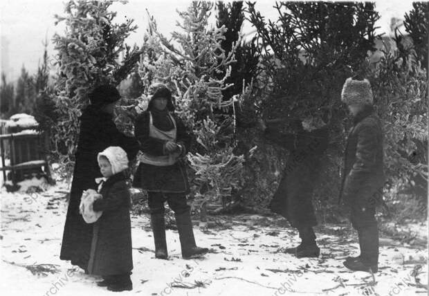 1913. Елочный базар 1913. Елочный базар