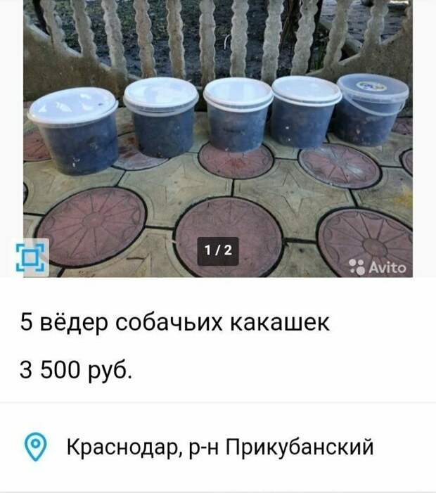Предприимчивые люди и их совсем даже не нелепые объявления Предприимчивые люди и их совсем даже не нелепые объявления