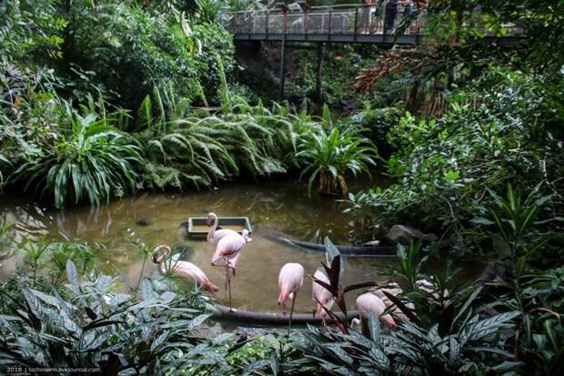 Tropical Islands - искусственный рай путешествия, факты, фото