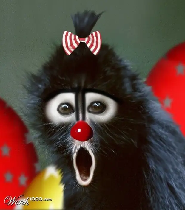 Животное клоун. Накрашенная обезьяна. Обезьянка клоун. Обезьяна с красными губами. Макака клоун.