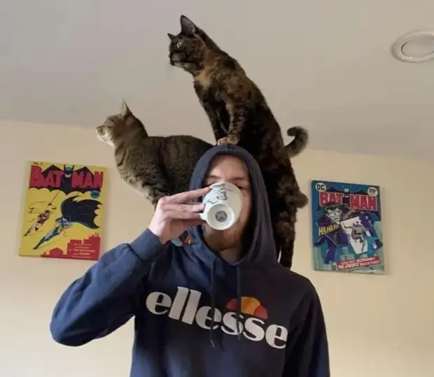 Питомцы, которые не знают границ когда, нравится, просто, смотрю, через, моюсь»«Это, просыпаюсь, достаточно, чтобы, занять, Иногда, стул»Когда, контролирует, питомцы, понятие, личных, границ, перестаёт, живут, огромны«Это