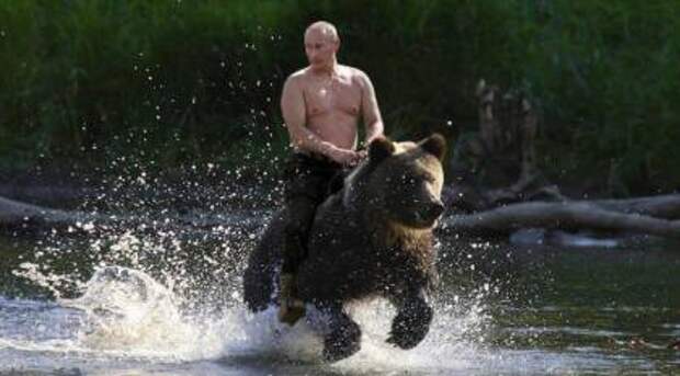 Верхом на медведе: Владимир Путин – главный защитник природы