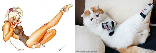 Кошки и девушки в стиле пинап pinupcats20 Кошки и девушки в стиле пинап