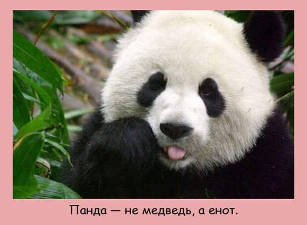 Интересные факты в картинках (20 фото) Интересные факты в картинках (20 фото)