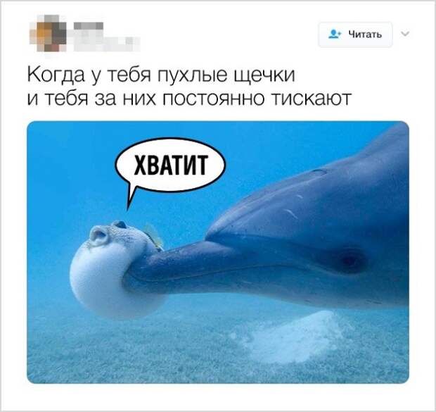 Смешные твиты от людей с хорошим чувством юмора (20 скриншотов)